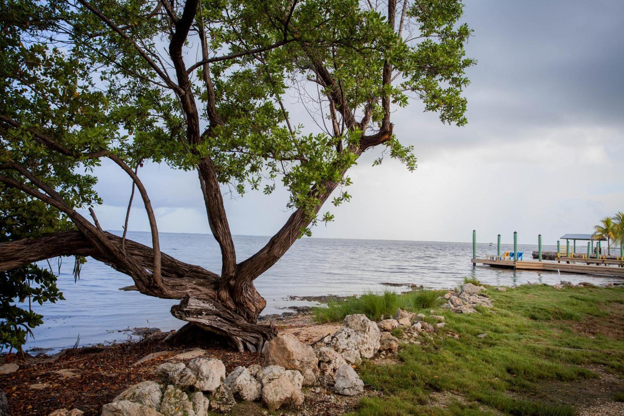 Kings Kamp Hotel Key Largo Exterior photo